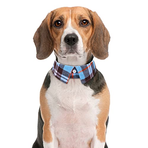 Faleela Soft &Comfy Bowtie Dog Collar,Detachable and Adjustable Bow Tie Collar,for Small Medium Large Pet (S, Blue)