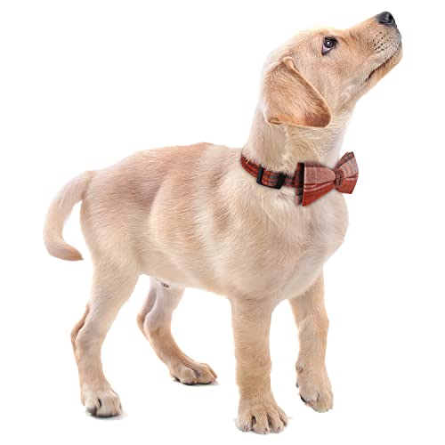 Faleela Soft &Comfy Bowtie Dog Collar,Detachable and Adjustable Bow Tie Collar,for Small Medium Large Pet (S, Blue)