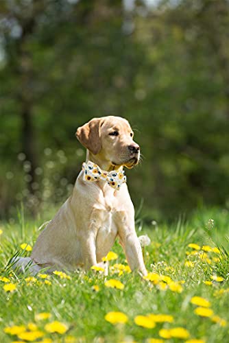 Elegant little tail Vintage Floral Dog Collar with Bow, Comfotable Dog Bowtie, Dog Collar Bow Adjustable Dog Collars for Small Medium Large Dogs