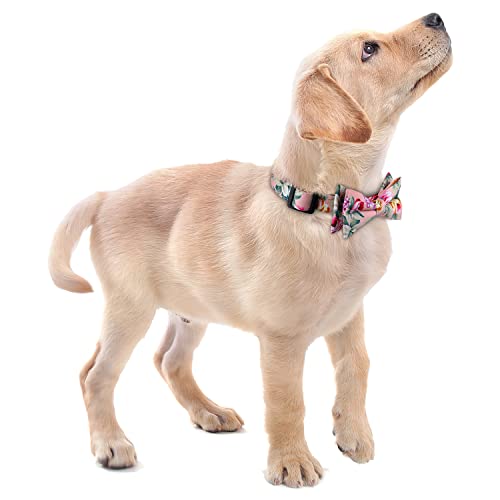 Faleela Soft &Comfy Bowtie Dog Collar,Detachable and Adjustable Bow Tie Collar,for Small Medium Large Pet (S, Blue)