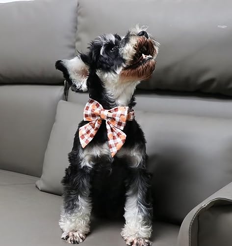 Unique Style Paws Cotton Dog Collar with Bow Halloween Pumpkin Plaid Dog Collar with Bow Tie for Small Medium Large Dogs Pets Gifts