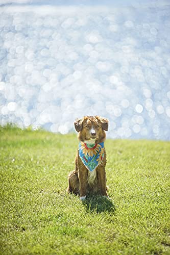 Unique Style Paws Dog Bandanas 1PC Washable Cotton Triangle Dog Scarfs for Small Medium Large Dogs and Cats