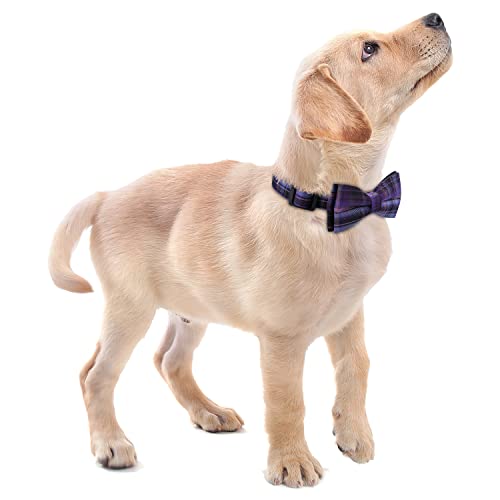 Faleela Soft &Comfy Bowtie Dog Collar,Detachable and Adjustable Bow Tie Collar,for Small Medium Large Pet (S, Blue)