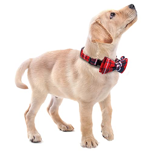 Faleela Soft &Comfy Bowtie Dog Collar,Detachable and Adjustable Bow Tie Collar,for Small Medium Large Pet (S, Blue)