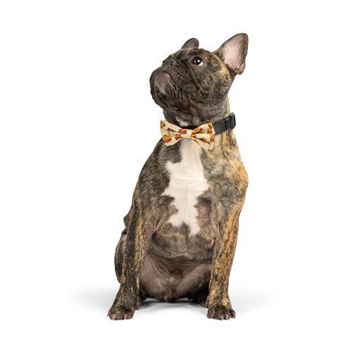 Huxley & Kent Bow Tie for Pets | Fall Check (Extra-Large) | Bow Tie Collar Attachment | Fun Bow Ties for Dogs & Cats | Cute, Comfortable, and Durable | H&K Bow Tie