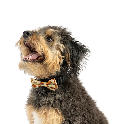 Huxley & Kent Bow Tie for Pets | Fall Check (Extra-Large) | Bow Tie Collar Attachment | Fun Bow Ties for Dogs & Cats | Cute, Comfortable, and Durable | H&K Bow Tie