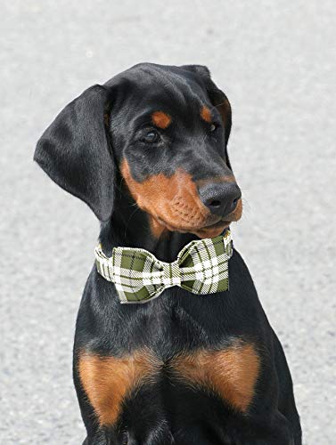 ARING PET Bowtie Dog Collar, Dog Collar with Bow, Adjustable Dog Collars for Small Medium Large Dogs.