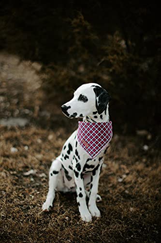 Unique Style Paws Dog Bandanas 1PC Washable Cotton Triangle Dog Scarfs for Small Medium Large Dogs and Cats