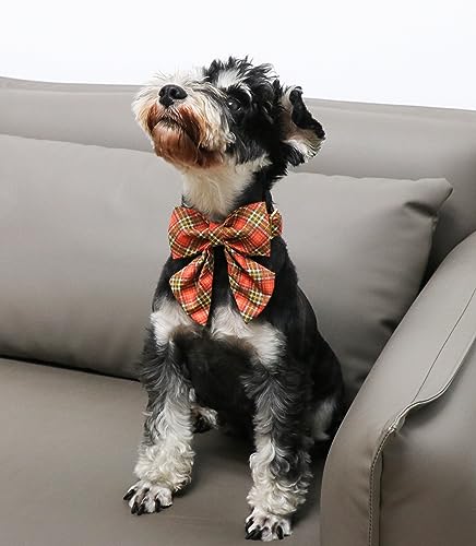 Unique Style Paws Cotton Dog Collar with Bow Halloween Pumpkin Plaid Dog Collar with Bow Tie for Small Medium Large Dogs Pets Gifts