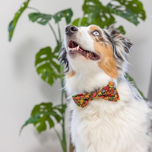 Huxley & Kent Bow Tie for Pets | Fall Check (Extra-Large) | Bow Tie Collar Attachment | Fun Bow Ties for Dogs & Cats | Cute, Comfortable, and Durable | H&K Bow Tie