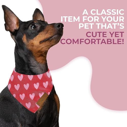 Luxury Pet Birthday Bandanas -Premium & Silky Poly Fabric | 100% Handmade | Custom Shape Dual Layered (Birthday Girl, Medium)