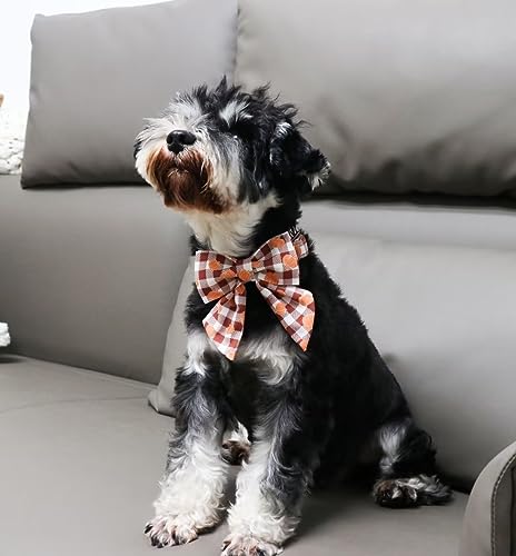 Unique Style Paws Cotton Dog Collar with Bow Halloween Pumpkin Plaid Dog Collar with Bow Tie for Small Medium Large Dogs Pets Gifts