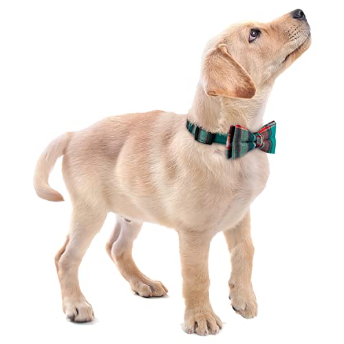 Faleela Soft &Comfy Bowtie Dog Collar,Detachable and Adjustable Bow Tie Collar,for Small Medium Large Pet (S, Blue)