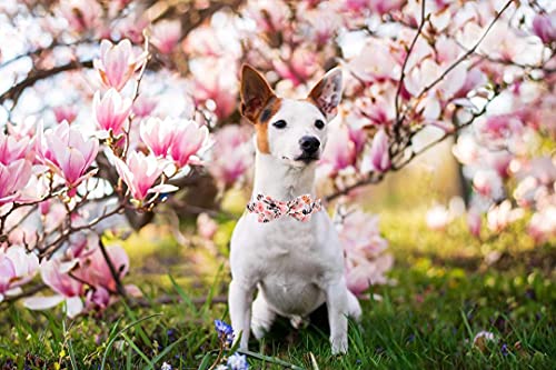 Elegant little tail Vintage Floral Dog Collar with Bow, Comfotable Dog Bowtie, Dog Collar Bow Adjustable Dog Collars for Small Medium Large Dogs