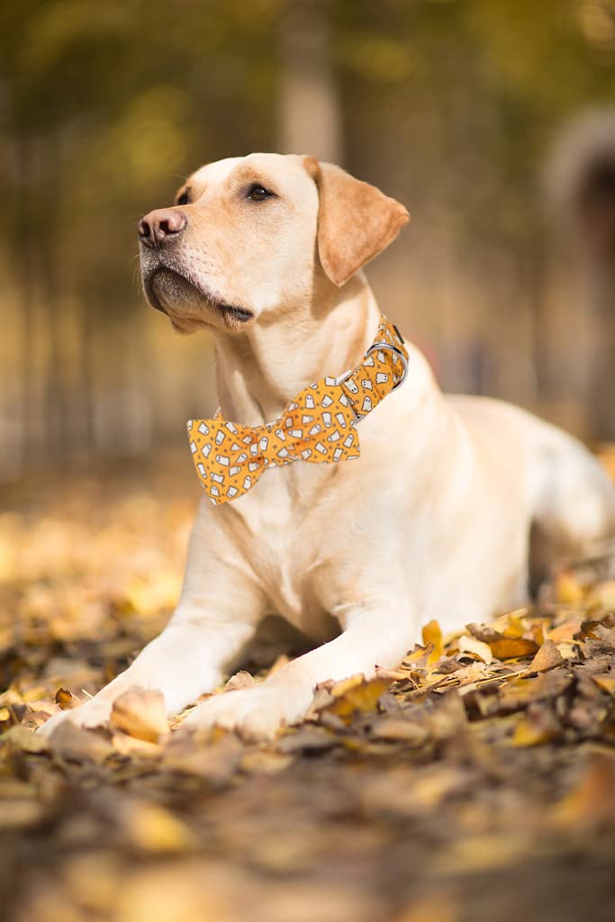 Lionet Paws Halloween Dog Collar with Bowtie - Cute Cotton Adjustable Fall Bowtie Dog Collar with Metal Buckle for Small Medium Large Dog Girl Boy Gift, M, Neck 13.5-22in