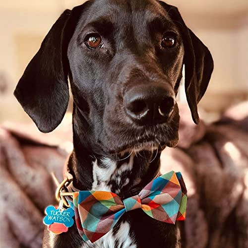 Huxley & Kent Bow Tie for Pets | Fall Check (Extra-Large) | Bow Tie Collar Attachment | Fun Bow Ties for Dogs & Cats | Cute, Comfortable, and Durable | H&K Bow Tie