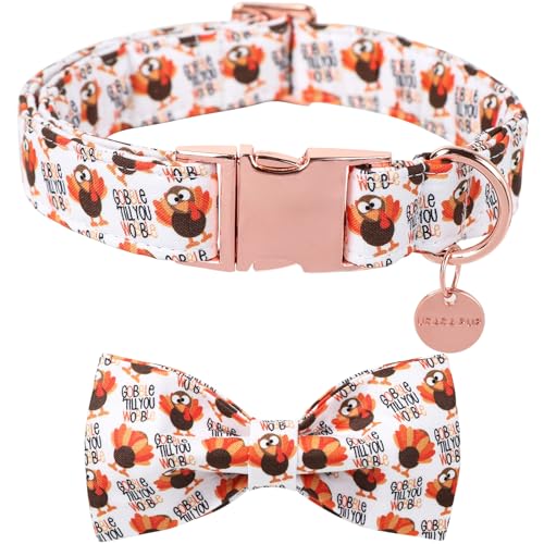 Thanksgiving Dog Collar with Bow Tie, Turkey Cotton Bowtie Collar for Puppy Girl Dog or Cat, Autumn Bow Tie Collar with Durable Metal Buckle, Turkeys Pet Collar, S, Neck 10-16in