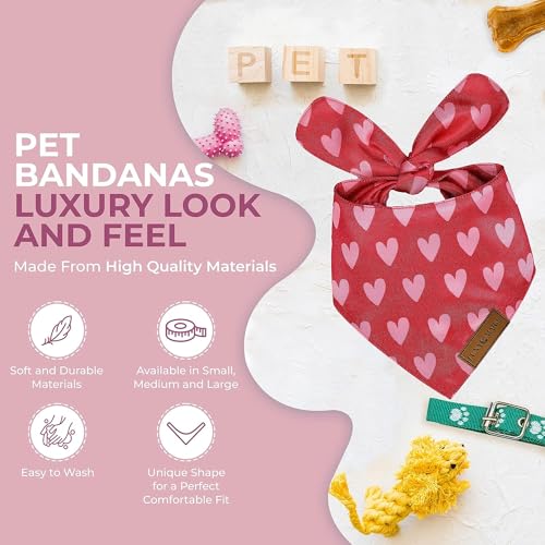 Luxury Pet Birthday Bandanas -Premium & Silky Poly Fabric | 100% Handmade | Custom Shape Dual Layered (Birthday Girl, Medium)