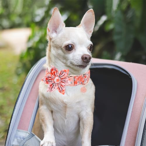 Dog Collar with Bow Tie,UP URARA PUP Pink Plaid Bowtie Dog Collar, Summer Bowtie Collar for Puppy Boy Girl Dog, Comfortable Cotton Dog Collar with Metal Buckle,M,Neck 13.5-22in