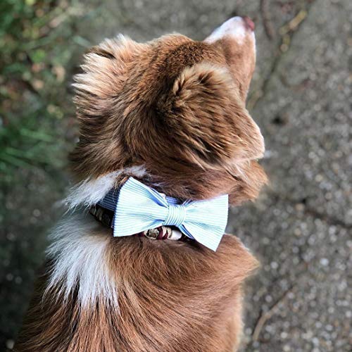 Unique Style Paws Pet Soft &Comfy Bowtie Dog Collar and Cat Collar Pet Gift for Dogs and Cats 6 Size and 7 Patterns