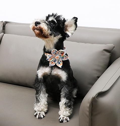 Unique Style Paws Cotton Dog Collar with Bow Halloween Pumpkin Plaid Dog Collar with Bow Tie for Small Medium Large Dogs Pets Gifts