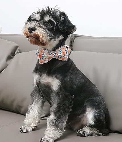 Unique Style Paws Cotton Dog Collar with Bow Halloween Pumpkin Plaid Dog Collar with Bow Tie for Small Medium Large Dogs Pets Gifts