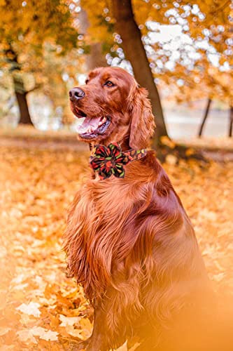 Unique style paws Halloween Dog Collar with Bow Tie Pumpkin Cotton Collar Adjustable Puppy Collar for Small Medium Large Dogs-S