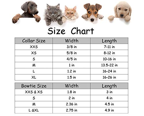 Lionet Paws Halloween Dog Collar with Bowtie - Cute Cotton Adjustable Fall Bowtie Dog Collar with Metal Buckle for Small Medium Large Dog Girl Boy Gift, M, Neck 13.5-22in