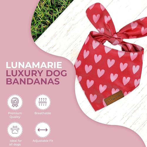 Luxury Pet Birthday Bandanas -Premium & Silky Poly Fabric | 100% Handmade | Custom Shape Dual Layered (Birthday Girl, Medium)