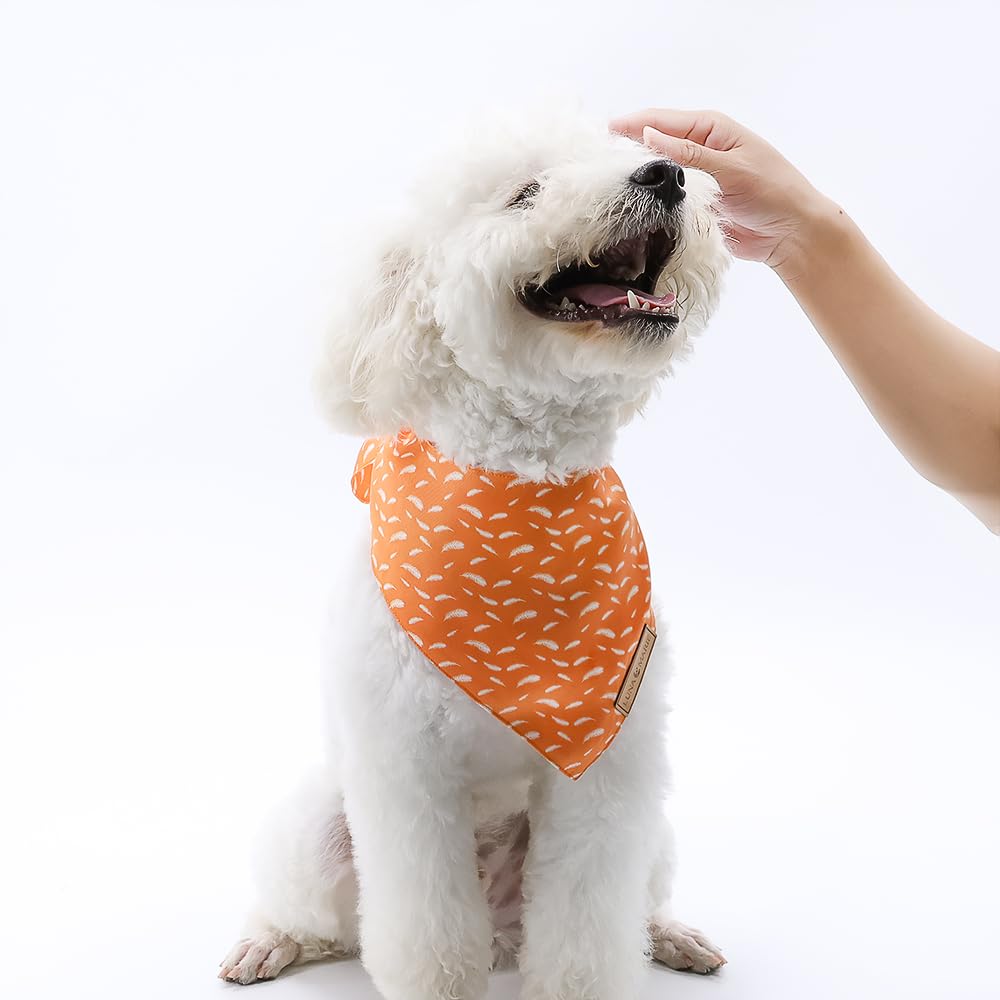 Luxury Pet Birthday Bandanas -Premium & Silky Poly Fabric | 100% Handmade | Custom Shape Dual Layered (Birthday Girl, Medium)