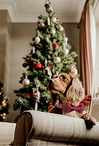 Unique style paws Christmas Dog Collar with Bow Tie Winter Gingerbread Snowman Theme Puppy Collar for Small Medium Large Dogs-M