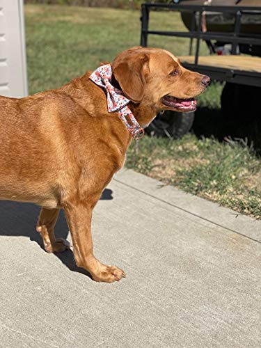 Unique style paws Christmas Dog Collar with Bow Tie Winter Gingerbread Snowman Theme Puppy Collar for Small Medium Large Dogs-M