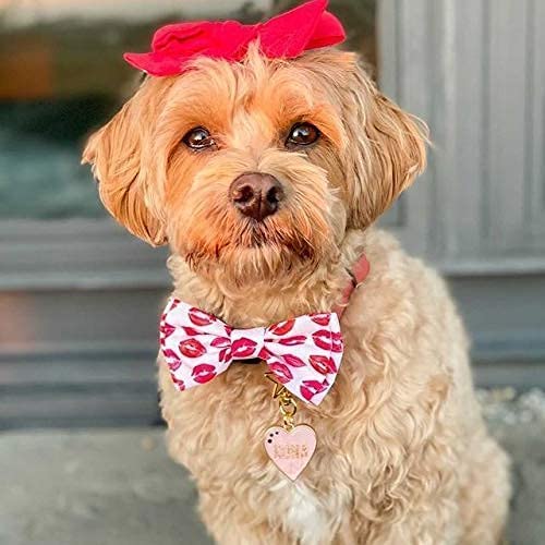 Huxley & Kent Bow Tie for Pets | Kisses (Small) | Valentine's Day Pet Bow Tie Collar Attachment | Fun Bow Ties for Dogs & Cats | Cute, Comfortable, and Durable