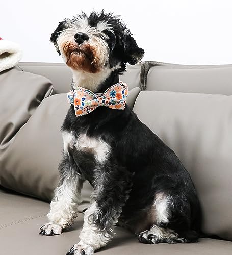 Unique Style Paws Cotton Dog Collar with Bow Halloween Pumpkin Plaid Dog Collar with Bow Tie for Small Medium Large Dogs Pets Gifts