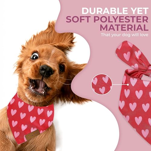 Luxury Pet Birthday Bandanas -Premium & Silky Poly Fabric | 100% Handmade | Custom Shape Dual Layered (Birthday Girl, Medium)