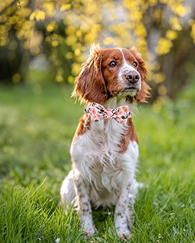 Elegant little tail Vintage Floral Dog Collar with Bow, Comfotable Dog Bowtie, Dog Collar Bow Adjustable Dog Collars for Small Medium Large Dogs