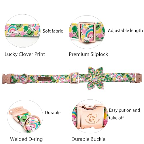 Elegant little tail Dog Collar with Bow, Lucky Clover Bow Tie Dog Collar, Cute Dog Bowtie Pet Gift Dog Collar for Medium Dogs