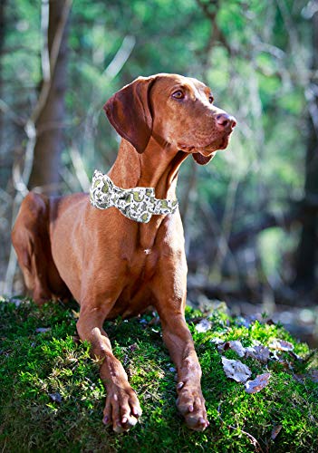 ARING PET Bowtie Dog Collar, Dog Collar with Bow, Adjustable Dog Collars for Small Medium Large Dogs.