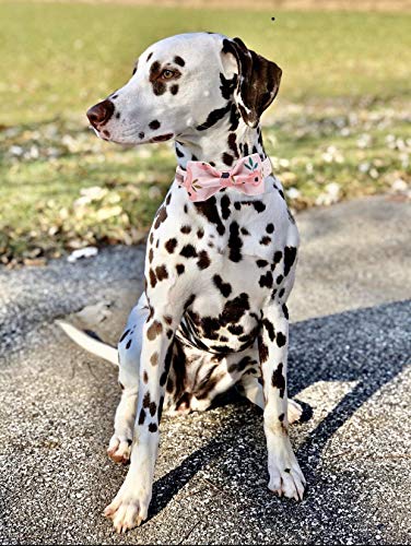 Elegant little tail Vintage Floral Dog Collar with Bow, Comfotable Dog Bowtie, Dog Collar Bow Adjustable Dog Collars for Small Medium Large Dogs