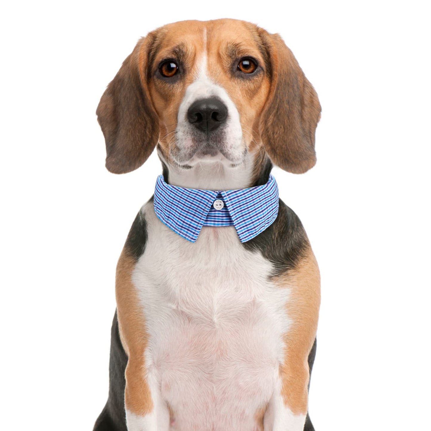 Faleela Soft &Comfy Bowtie Dog Collar,Detachable and Adjustable Bow Tie Collar,for Small Medium Large Pet (S, Blue)