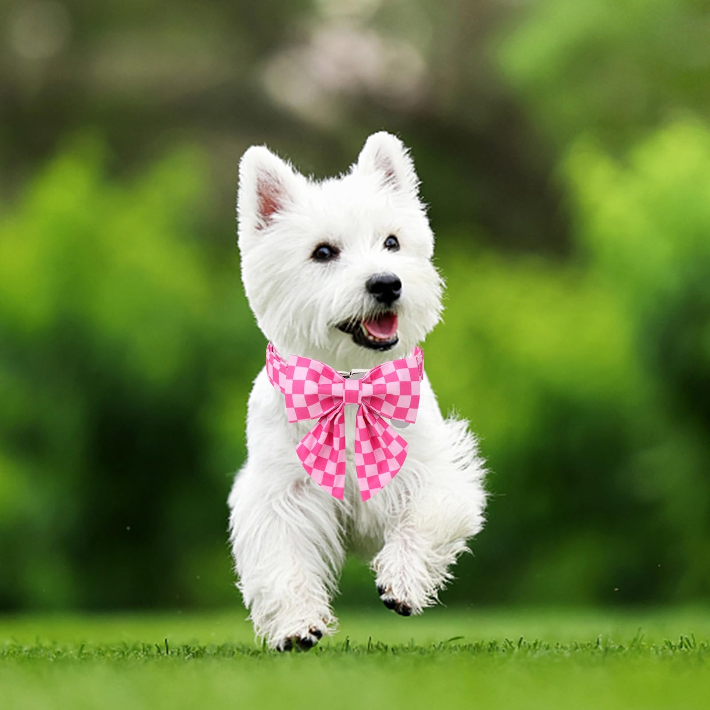 Dog Collar with Bow Tie,UP URARA PUP Pink Plaid Bowtie Dog Collar, Summer Bowtie Collar for Puppy Boy Girl Dog, Comfortable Cotton Dog Collar with Metal Buckle,M,Neck 13.5-22in