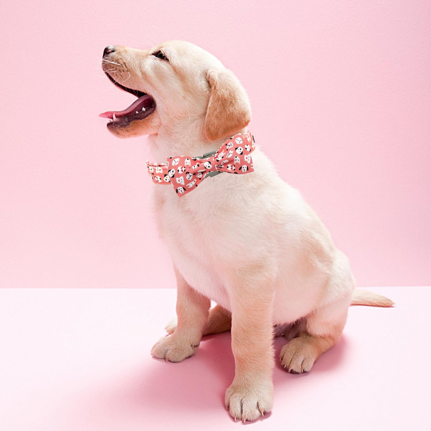 Elegant little tail Dog Collar with Bow, Soft&Comfy Bowtie Dog Collar, Adjustable Pet Gift Collars for Small Medium Large Dogs