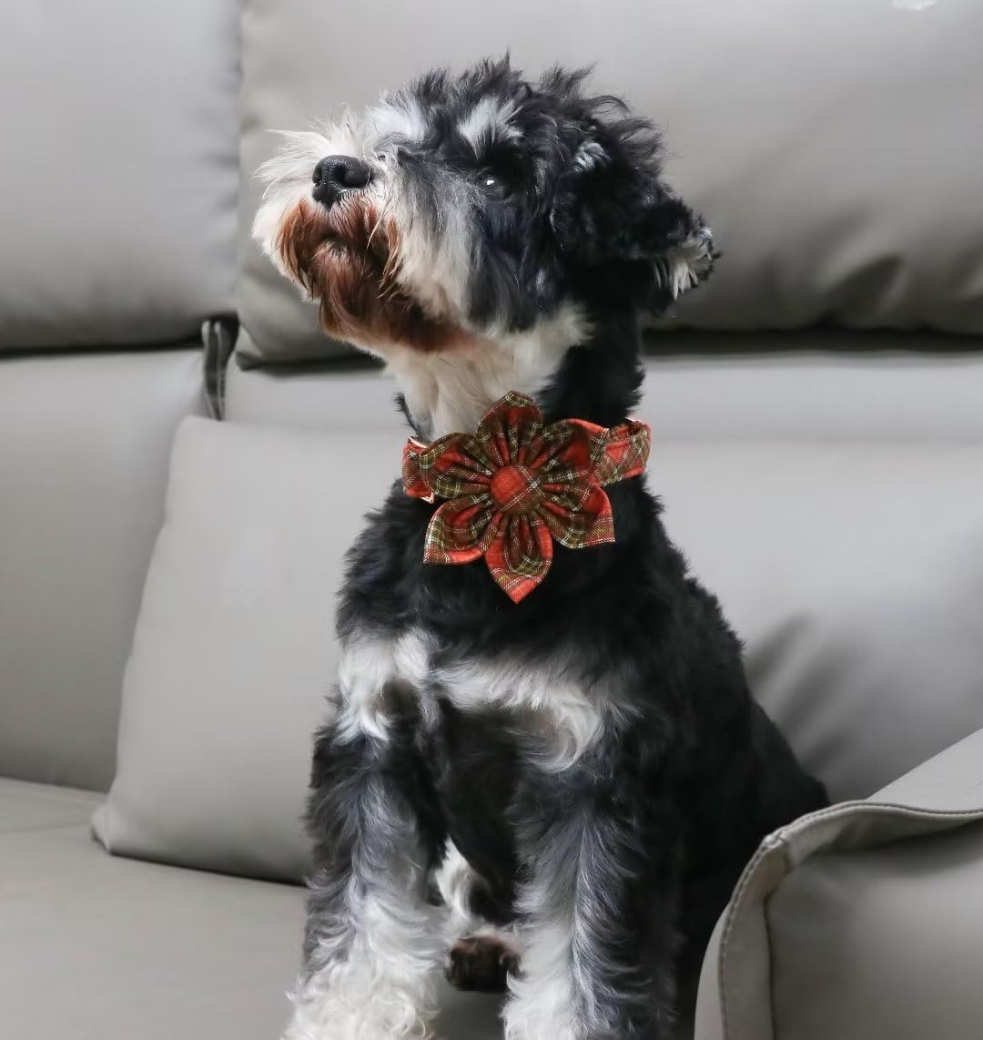 Unique Style Paws Cotton Dog Collar with Bow Halloween Pumpkin Plaid Dog Collar with Bow Tie for Small Medium Large Dogs Pets Gifts