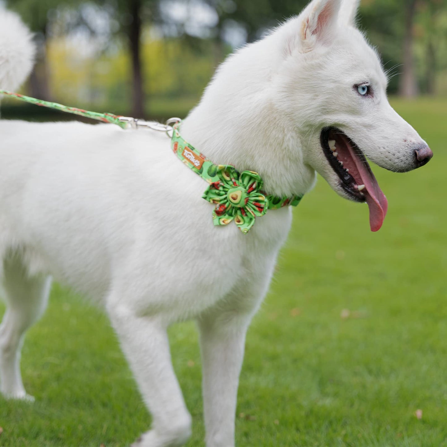 Tunkoo Christmas Dog Collar with Pretty Bow Tie - Red & Green Plaid Pet Collar, Adjustable Available in Small Medium Large, Gift for Girls Boys Dog, S