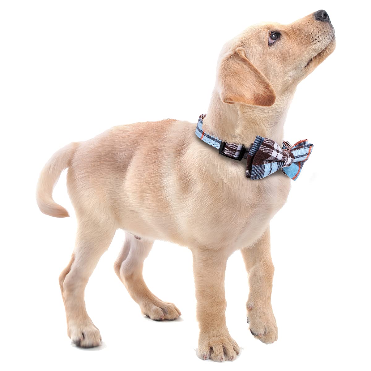 Faleela Soft &Comfy Bowtie Dog Collar,Detachable and Adjustable Bow Tie Collar,for Small Medium Large Pet (S, Blue)