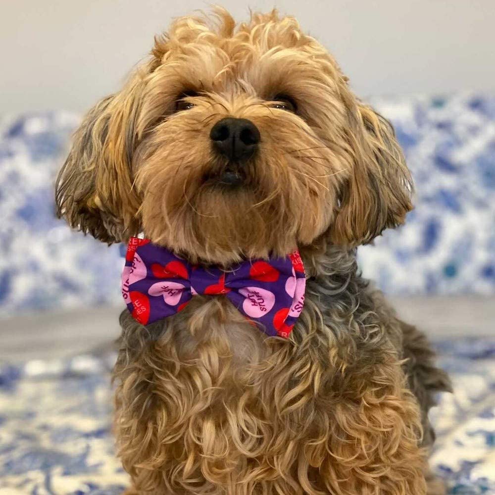 Huxley & Kent Bow Tie for Pets | Kisses (Small) | Valentine's Day Pet Bow Tie Collar Attachment | Fun Bow Ties for Dogs & Cats | Cute, Comfortable, and Durable