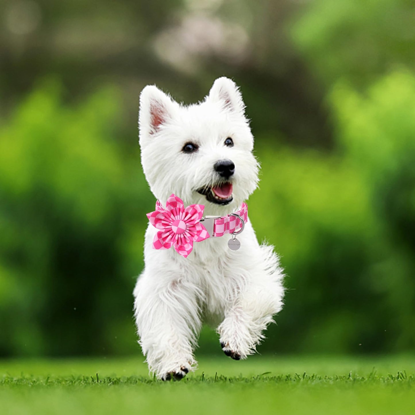 Dog Collar with Bow Tie,UP URARA PUP Pink Plaid Bowtie Dog Collar, Summer Bowtie Collar for Puppy Boy Girl Dog, Comfortable Cotton Dog Collar with Metal Buckle,M,Neck 13.5-22in