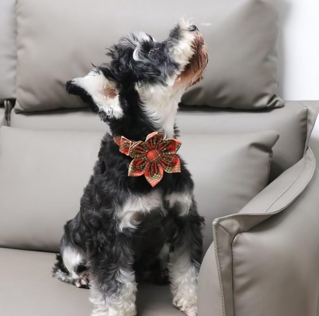 Unique Style Paws Cotton Dog Collar with Bow Halloween Pumpkin Plaid Dog Collar with Bow Tie for Small Medium Large Dogs Pets Gifts