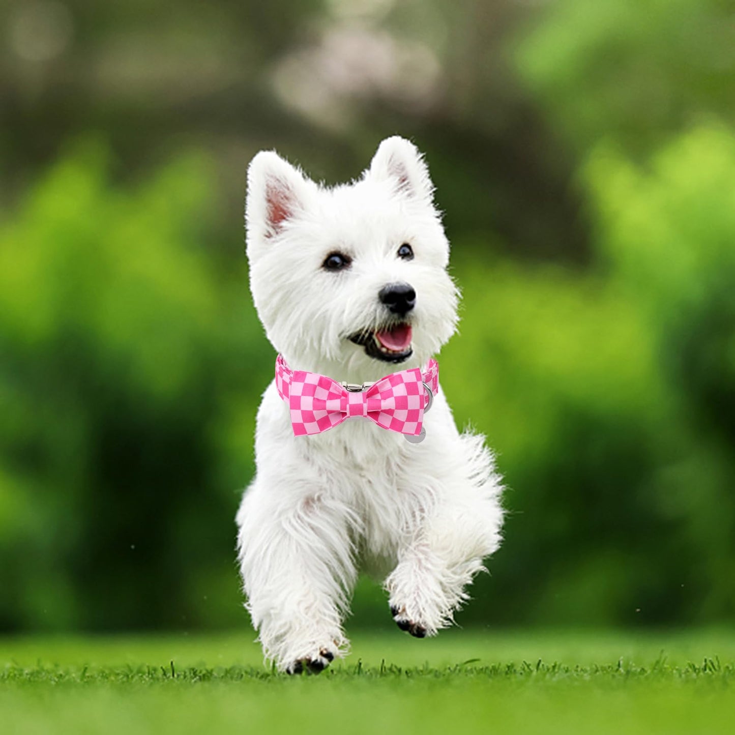 Dog Collar with Bow Tie,UP URARA PUP Pink Plaid Bowtie Dog Collar, Summer Bowtie Collar for Puppy Boy Girl Dog, Comfortable Cotton Dog Collar with Metal Buckle,M,Neck 13.5-22in