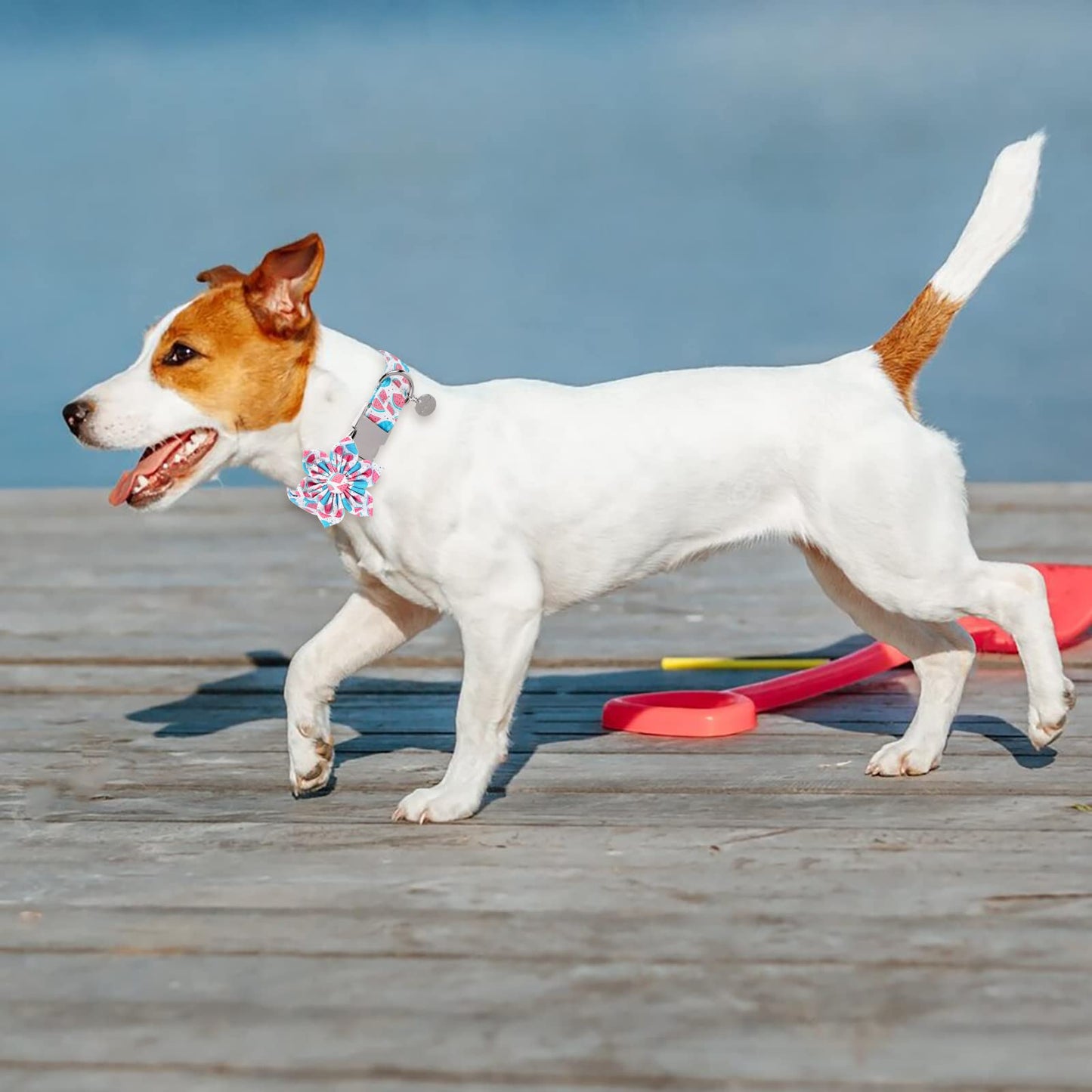 American Flag Dog Collar with Bow Tie, 4th of July Comfortable Cotton Cute Dog Collar with Metal Buckle, Patriotic Bowtie Collar for Puppy Girl Boy Dog, XL, Neck 16-26in